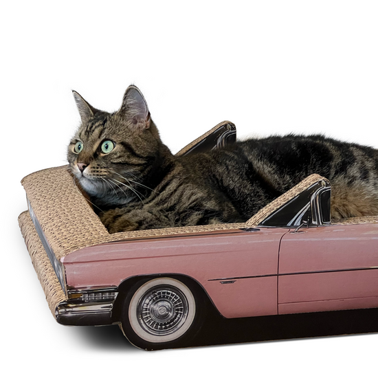 „Catillac" Kratzmöbel