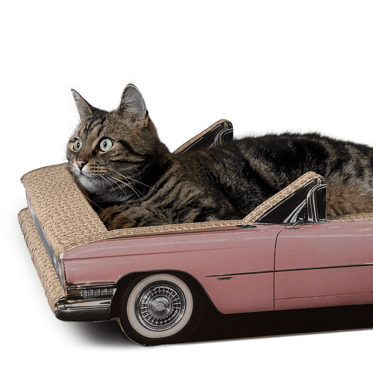 „Catillac" Kratzmöbel - Designer Kratzmöbel von kellerkatze