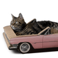 „Catillac" Kratzmöbel - Designer Kratzmöbel von kellerkatze