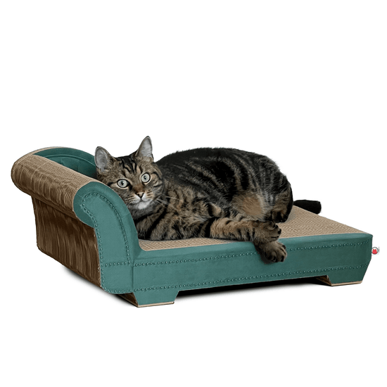 ChiChi - Lounge - Designer Kratzmöbel von kellerkatze