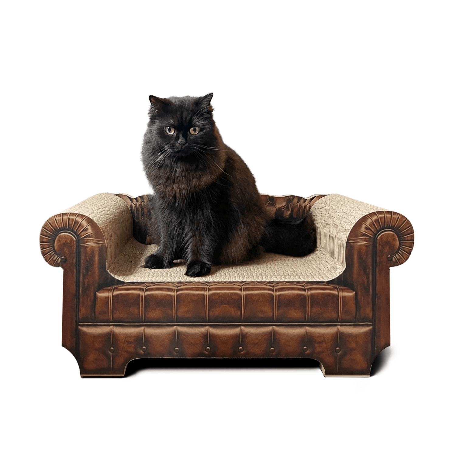 LöwenLounge - Designer Kratzmöbel von kellerkatze