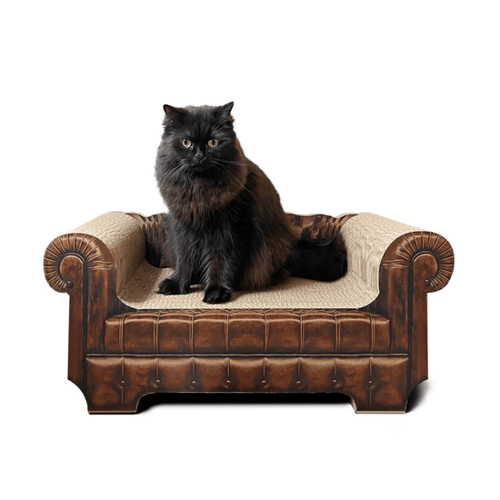 LöwenLounge - Designer Kratzmöbel von kellerkatze