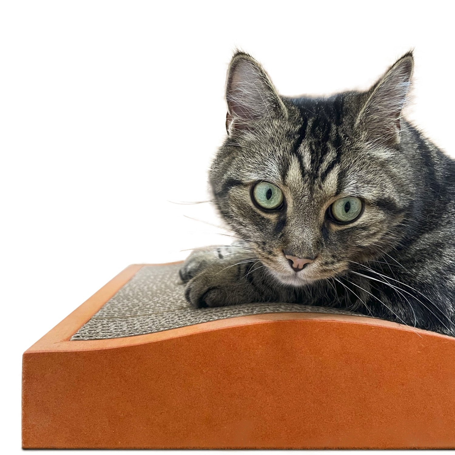 Woodwave Kratzbrett - Designer Kratzmöbel von kellerkatze
