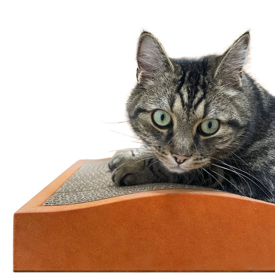 Woodwave Kratzbrett - Designer Kratzmöbel von kellerkatze